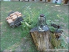 DSCN5967