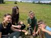 Image24_S_00082